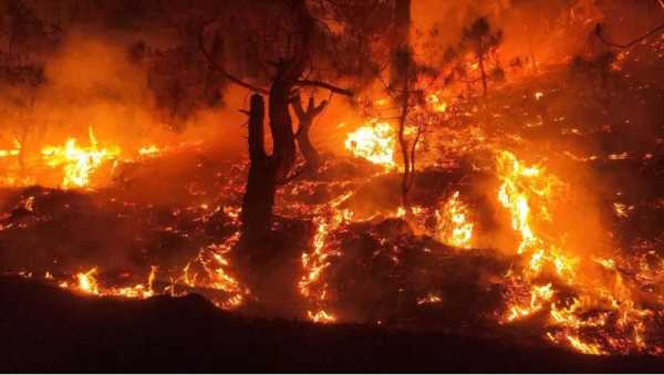 अल्‍मोड़ा में आग का तांडव, 10 घंटे में  ढाई हेक्टेयर जंगल खाक
