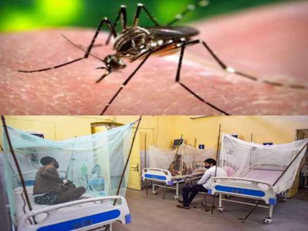 Dengue Cases: डेंगू मामलो में लगातार हो रहा इजाफा, अब तक 1348 मामले आ चुके है सामने 