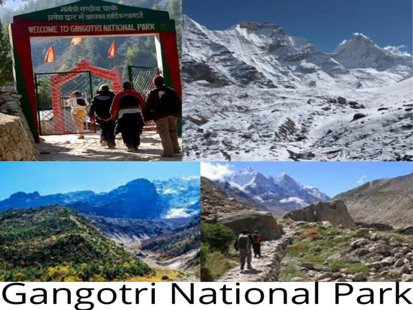 Latest Uttarakhand News: पर्यटकों के लिए अच्छी खबर... दो साल बाद खुला Gangotri National Park, जानिये क्या है यहाँ ख़ास 