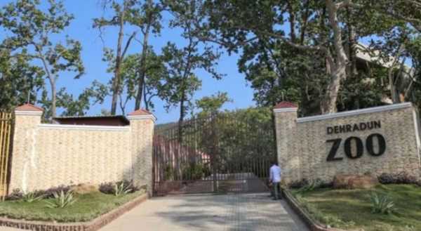 Dehradun Zoo में आएगा सफेद बाघ, सैलानियों का रोमांच बढ़ाने की तैयारी