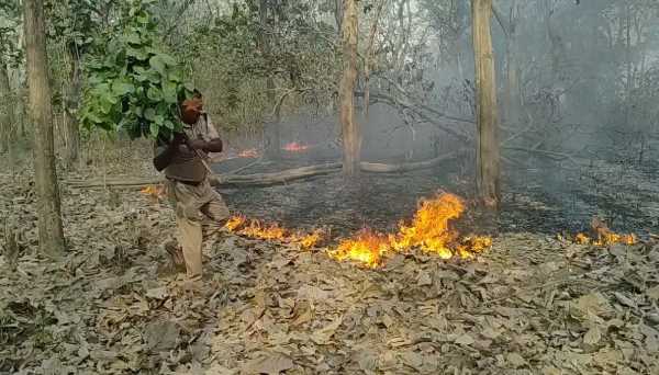 हल्द्वानी – यहां जंगल में लगी भयंकर आग, हल्द्वानी रुद्रपुर रोड बंद, फायर बिग्रेड जुटी