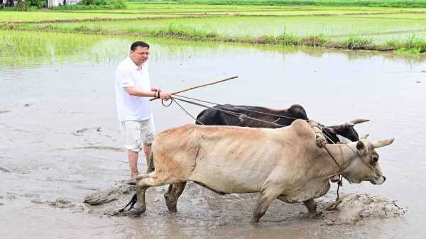 मुख्यमंत्री धामी का देसी अंदाज, खेत में बहाया पसीना