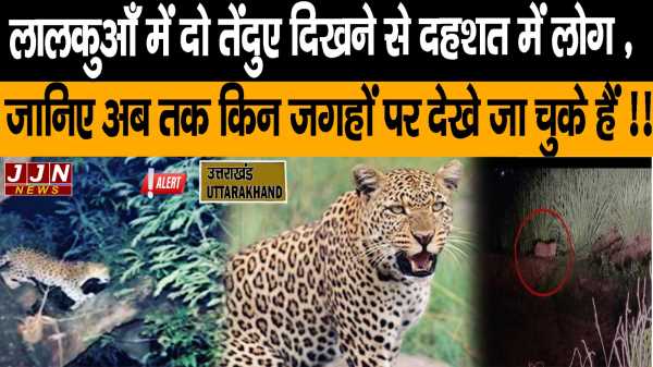 Bhimtal tiger terror : लालकुआँ  में दो तेंदुए दिखने से दहशत में लोग , जानिए अब तक किन जगहों पर देखे जा चुके हैं !!