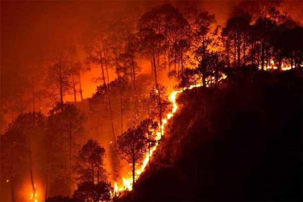 उत्तराखंड में 24 घंटे के भीतर जंगल की आग की छह घटनाएं, हेल्पलाइन नंबर जारी