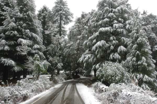 Uttarakhand Weather Update: उत्तराखंड में मौसम का बदला मिजाज,ऊंचाई वाले इलाकों में बर्फबारी की संभावना !