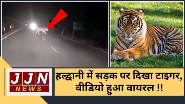 हल्द्वानी में सड़क पर दिखा टाइगर, वीडियो वायरल