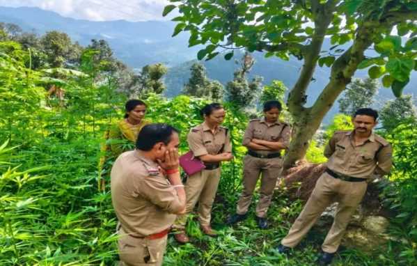आंगनबाड़ी BLO ने फंदा लगाकर दी जान  SIR ड्यूटी का था बेहद दबाव