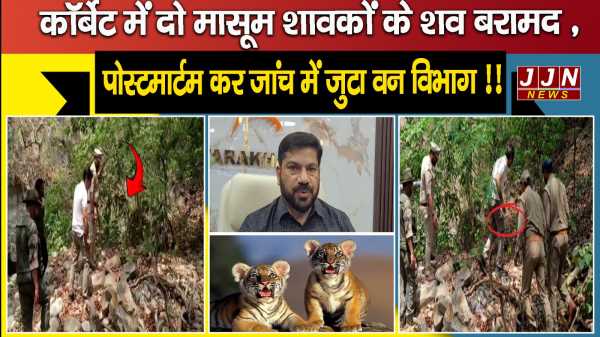 कॉर्बेट में दो मासूम शावकों के शव बरामद , पोस्टमार्टम कर जांच में जुटा वन विभाग !!