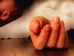 उत्तराखंड में भीषण हादसा! बेकाबू ट्रक से भिड़ी 6 गाड़ियां, उड़े परखच्चे 