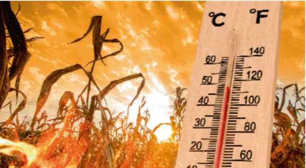 उत्तराखंड में बढ़ी गर्मी, हीट वेव अलर्ट जारी, ऊधम सिंह नगर में स्कूलों के समय बदले