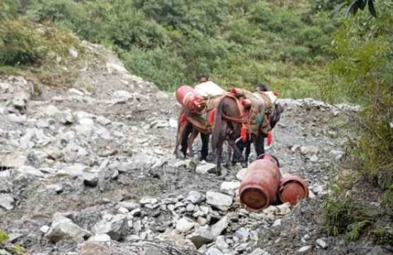  उत्तरकाशी..खच्चरों से यमुना घाटी के ग्रामीण क्षेत्रों में पहुंचा रहे रसद व सिलिंडर, परेशानी नहीं हो रही कम