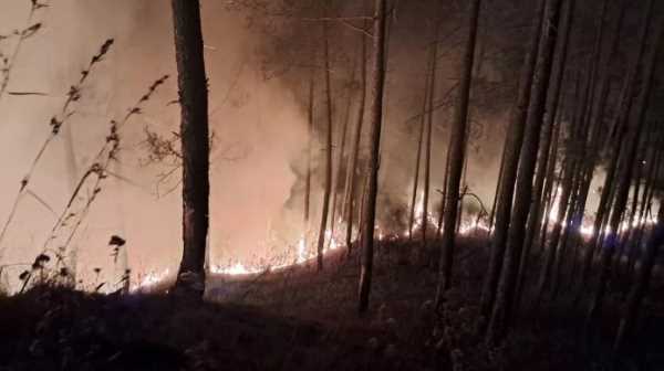 उत्तराखंड में जंगलों का खाक होना जारी, आग बुझाने के दौरान एक और मौत, दो झुलसे