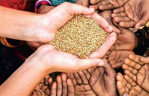 जानिए आखिर कैसे बनाए फ्री राशन के लिए राशन कार्ड,इस डेट तक कर सकते है आवेदन...
