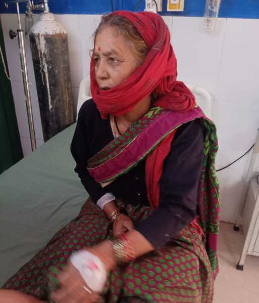 गुलदार के हमले से दहली महिला, फिर दिखाई बहादुरी! दरांती से 4 वार कर बचाई जान