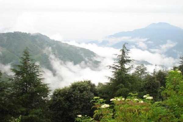 ﻿Uttarakhand Weather: अभी जारी रहेगी बरसात, 25 सितंबर तक मौसम का मिजाज रहेगा बिगड़ा !