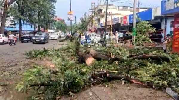 आंधी-तूफान बना आफत पाटी में ,  पेड़ गिरने से बड़ा नुकसान !!