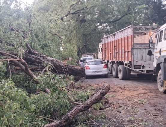 उत्तराखंड में आंधी-तूफान का असर, कई जगह सड़कें बंद