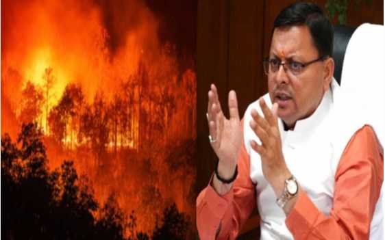 वनाग्नि पर सख्त हुए CM धामी! 1000 फॉरेस्ट गार्ड भर्ती ऐलान