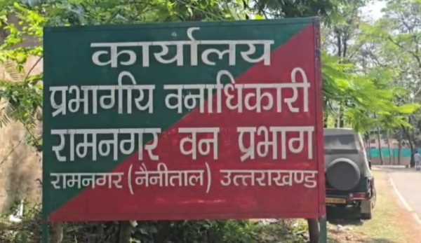 रामनगर में दर्दनाक घटना टाइगर के हमले में घायल हाथी के बच्चे की मौत