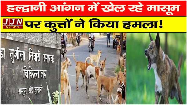 हल्द्वानी.. आंगन में खेल रहे मासूम पर कुत्तों ने किया हमला