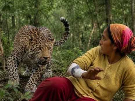 मवेशी को चराने गई महिला की मौत गुलदार के हमले की आशंका