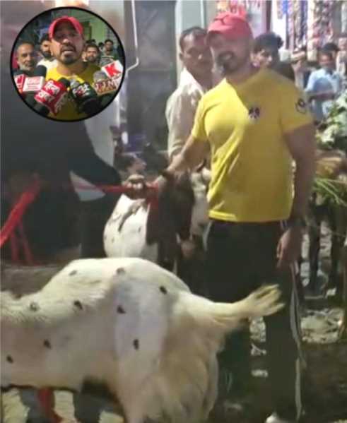 हल्द्वानी की बकरा मंडी में उमड़ी भीड़! 2 लाख तक पहुंची बकरों की कीमत