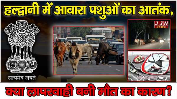 हल्द्वानी में आवारा पशुओं का आतंक, क्या लापरवाही बनी मौत का कारण?
