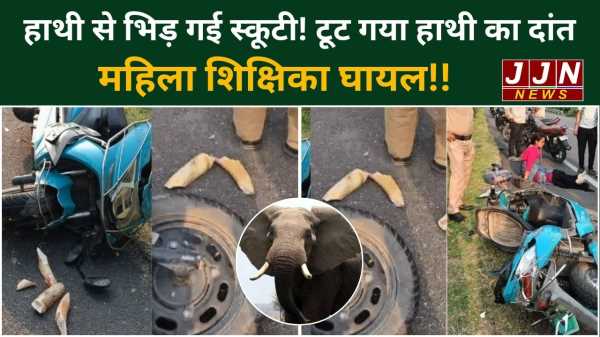 स्कूटी से हाथी को टक्कर! हादसे में टूट गया हाथी का दांत