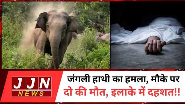 जंगली हाथी का हमला, मौके पर दो की मौत, इलाके में दहशत