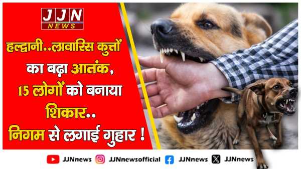 हल्द्वानी..लावारिस कुत्तों का बढ़ा आतंक, 15 लोगों को बनाया शिकार..निगम से लगाई गुहार !