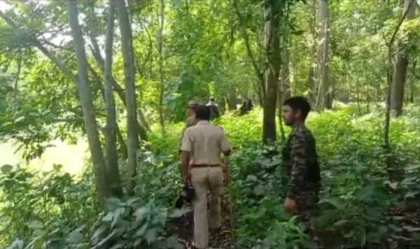 उत्तराखंड के जंगलों में खतरे की घंटी! वन विभाग ने बढ़ाई रातभर गश्त