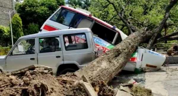 सुशीला तिवारी में गिरा विशालकाय पेड़ बाल-बाल बचे लोग