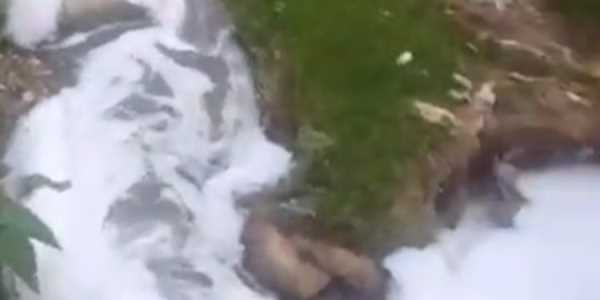 यहां नदी में बहाया सैकड़ो लीटर विषैला लिक्विड, ग्रामीणों की जान को खतरा