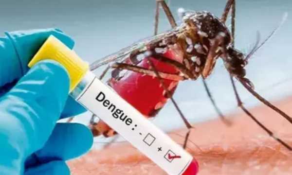 Dengue Cases: लालकुआं क्षेत्र में वायरल फीवर और डेंगू का लगातार बढ़ रहा खतरा !